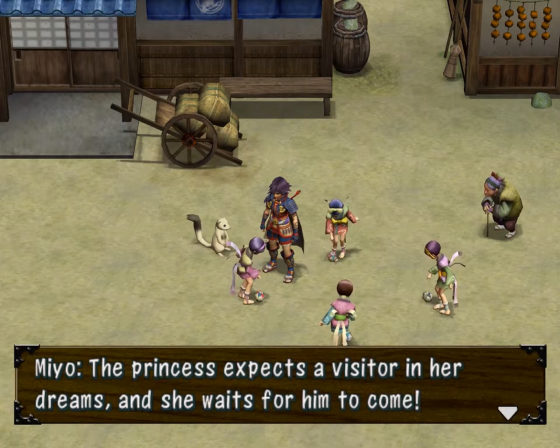 Shiren the Wanderer Screenshot 18 (Nintendo Wii (US Version))