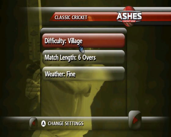 Ashes Cricket 2009