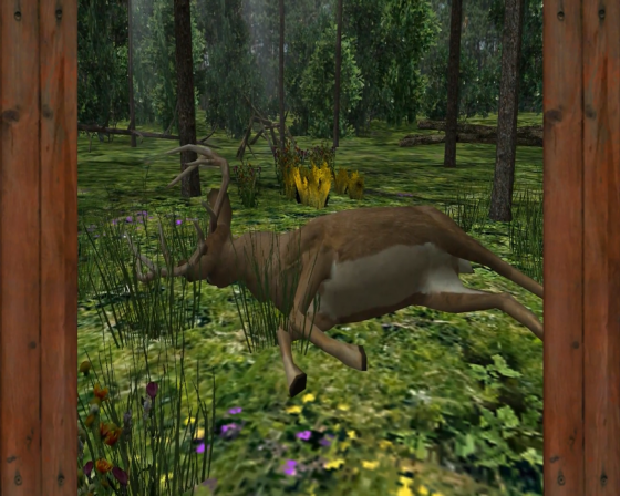 Buck Fever Screenshot 7 (Nintendo Wii (US Version))