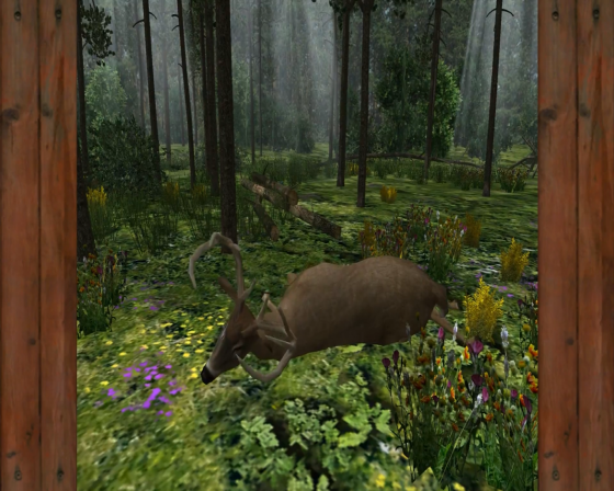 Buck Fever Screenshot 13 (Nintendo Wii (US Version))