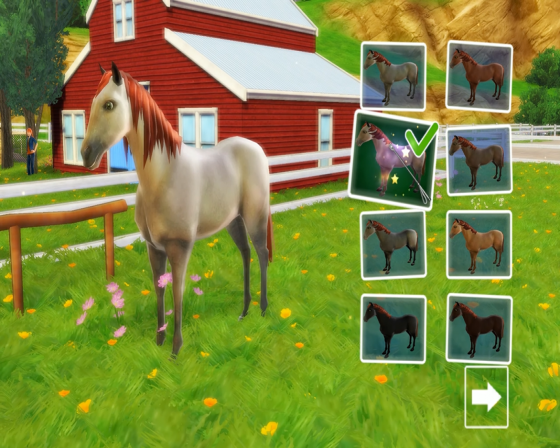 I Love Horses: Rider's Paradise Screenshot 11 (Nintendo Wii (US Version))