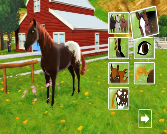 I Love Horses: Rider's Paradise Screenshot 13 (Nintendo Wii (US Version))