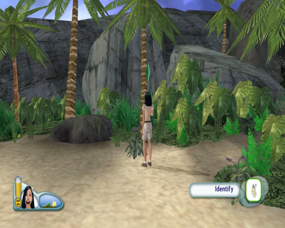 The Sims 2: Castaway Screenshot 26 (Nintendo Wii (EU Version))