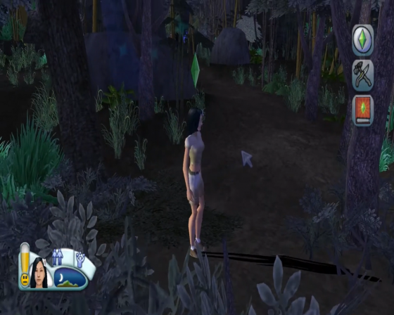 The Sims 2: Castaway Screenshot 28 (Nintendo Wii (EU Version))