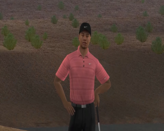 Tiger Woods PGA Tour 07 Screenshot 37 (Nintendo Wii (US Version))