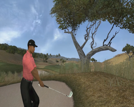 Tiger Woods PGA Tour 07 Screenshot 43 (Nintendo Wii (EU Version))