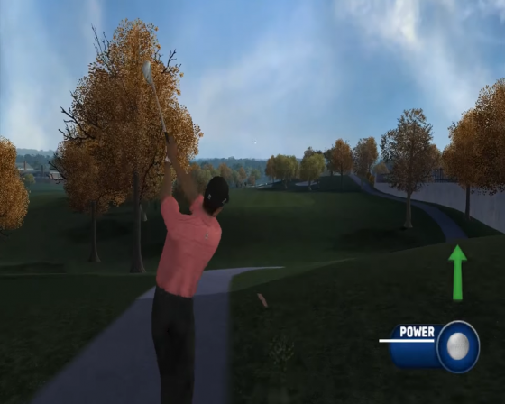 Tiger Woods PGA Tour 07 Screenshot 50 (Nintendo Wii (EU Version))