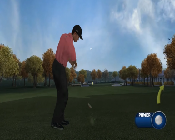 Tiger Woods PGA Tour 07 Screenshot 51 (Nintendo Wii (US Version))