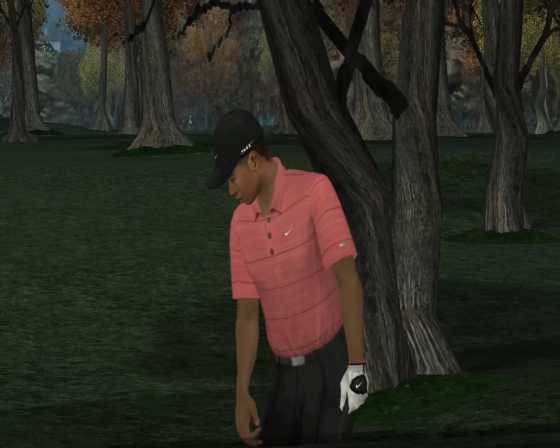 Tiger Woods PGA Tour 07 Screenshot 53 (Nintendo Wii (US Version))