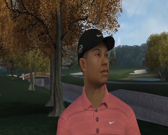 Tiger Woods PGA Tour 07 Screenshot 55 (Nintendo Wii (EU Version))