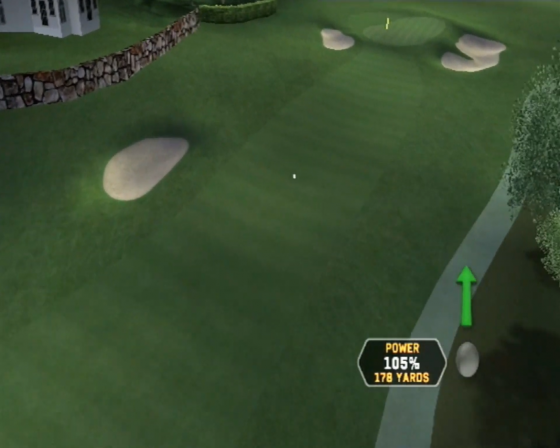 Tiger Woods PGA Tour 08 Screenshot 13 (Nintendo Wii (EU Version))