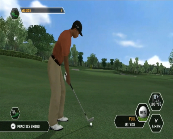 Tiger Woods PGA Tour 08 Screenshot 15 (Nintendo Wii (US Version))