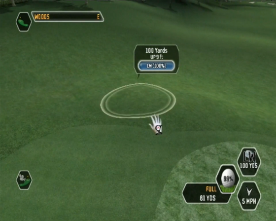 Tiger Woods PGA Tour 08 Screenshot 16 (Nintendo Wii (EU Version))