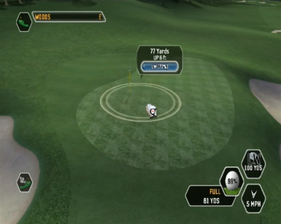 Tiger Woods PGA Tour 08 Screenshot 17 (Nintendo Wii (US Version))