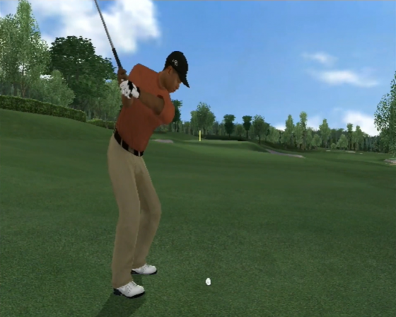 Tiger Woods PGA Tour 08 Screenshot 18 (Nintendo Wii (US Version))