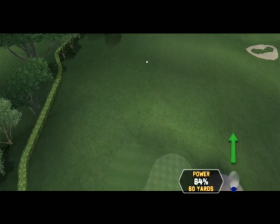 Tiger Woods PGA Tour 08 Screenshot 19 (Nintendo Wii (EU Version))