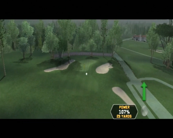 Tiger Woods PGA Tour 08 Screenshot 27 (Nintendo Wii (EU Version))