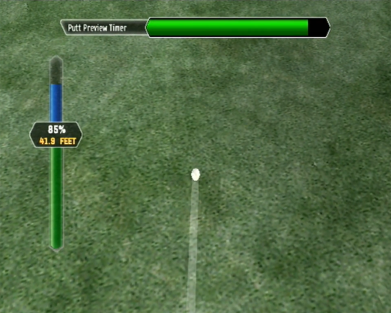 Tiger Woods PGA Tour 08 Screenshot 29 (Nintendo Wii (US Version))