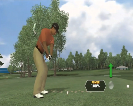 Tiger Woods PGA Tour 08 Screenshot 43 (Nintendo Wii (US Version))