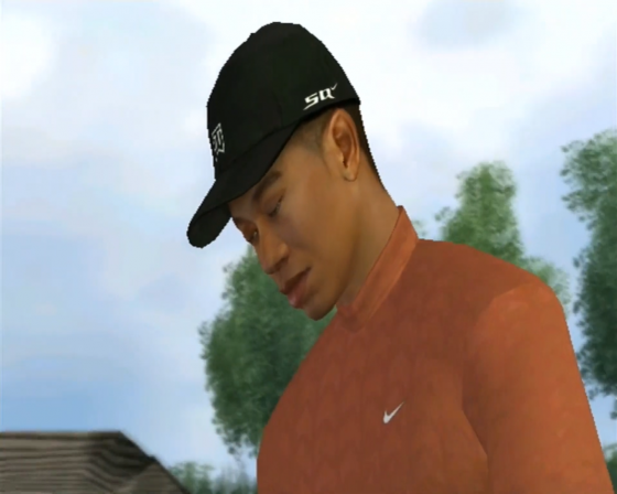 Tiger Woods PGA Tour 08 Screenshot 54 (Nintendo Wii (US Version))