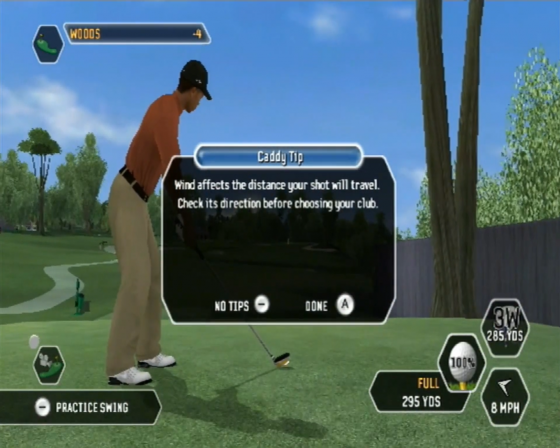 Tiger Woods PGA Tour 08 Screenshot 55 (Nintendo Wii (EU Version))