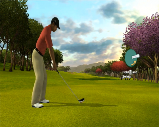 Tiger Woods PGA Tour 09 All-Play Screenshot 5 (Nintendo Wii (US Version))