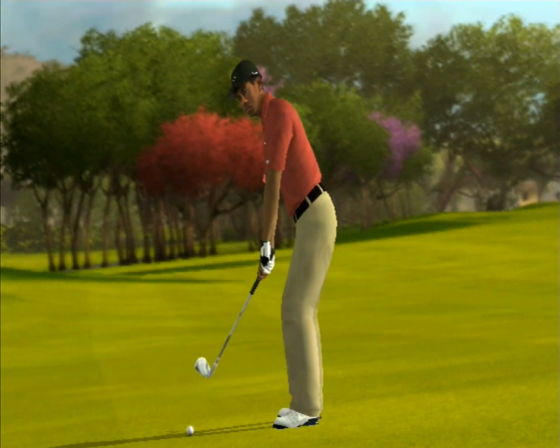 Tiger Woods PGA Tour 09 All-Play Screenshot 11 (Nintendo Wii (EU Version))