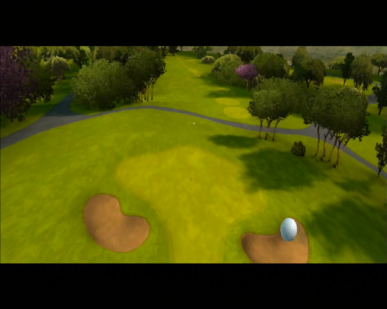 Tiger Woods PGA Tour 09 All-Play Screenshot 15 (Nintendo Wii (EU Version))