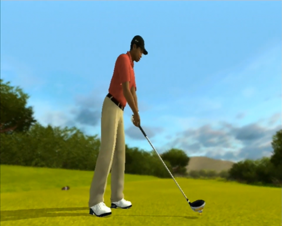 Tiger Woods PGA Tour 09 All-Play Screenshot 21 (Nintendo Wii (US Version))