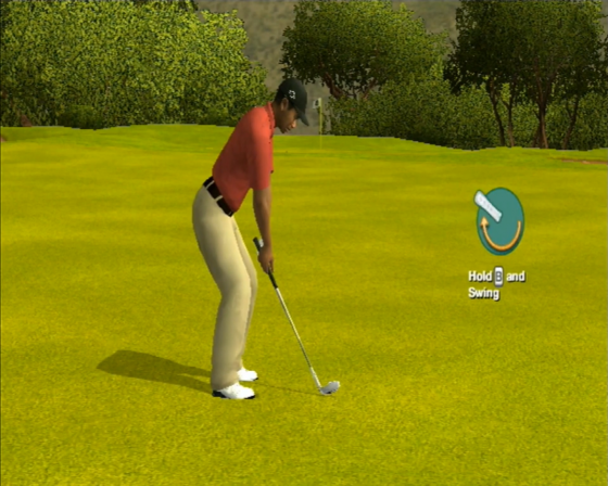 Tiger Woods PGA Tour 09 All-Play Screenshot 28 (Nintendo Wii (US Version))