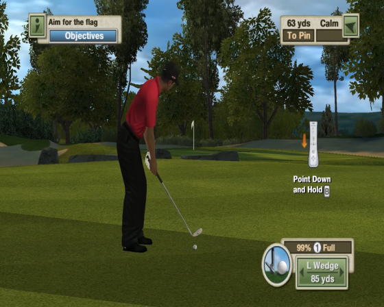 Tiger Woods PGA Tour 10 Screenshot 8 (Nintendo Wii (US Version))