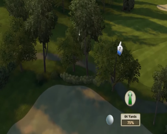 Tiger Woods PGA Tour 10 Screenshot 9 (Nintendo Wii (EU Version))