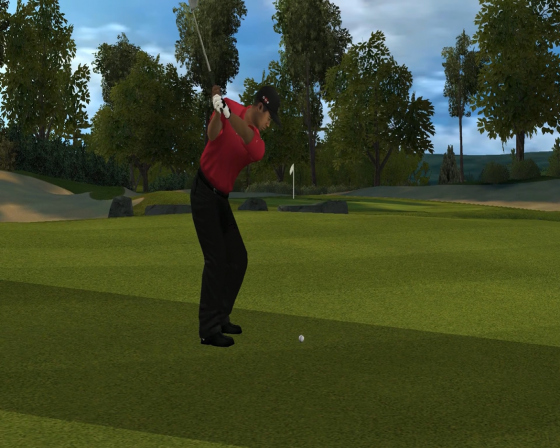 Tiger Woods PGA Tour 10 Screenshot 14 (Nintendo Wii (US Version))