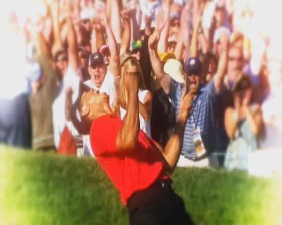 Tiger Woods PGA Tour 10 Screenshot 41 (Nintendo Wii (EU Version))