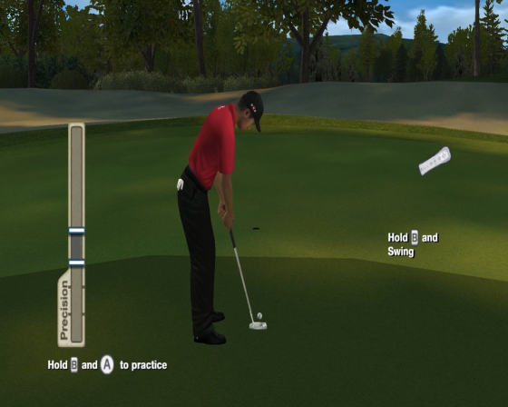 Tiger Woods PGA Tour 10 Screenshot 50 (Nintendo Wii (US Version))