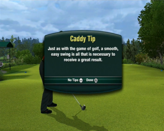 Tiger Woods PGA Tour 11 Screenshot 11 (Nintendo Wii (US Version))