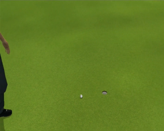 Tiger Woods PGA Tour 11 Screenshot 25 (Nintendo Wii (EU Version))