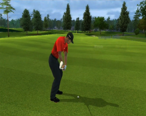 Tiger Woods PGA Tour 11 Screenshot 38 (Nintendo Wii (US Version))