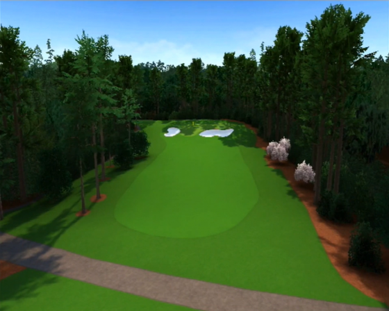 Tiger Woods PGA Tour 12: The Masters Screenshot 53 (Nintendo Wii (US Version))