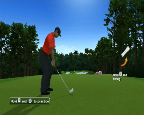 Tiger Woods PGA Tour 12: The Masters Screenshot 56 (Nintendo Wii (EU Version))