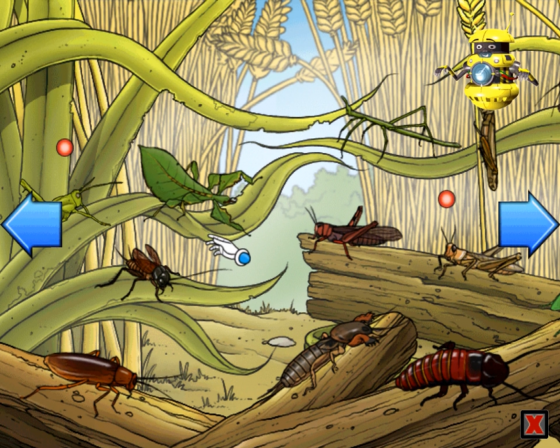 Clever Kids: Creepy Crawlies Screenshot 7 (Nintendo Wii (EU Version))