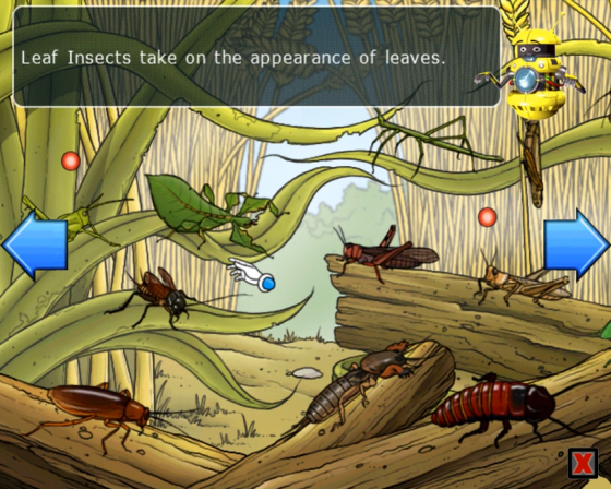 Clever Kids: Creepy Crawlies Screenshot 8 (Nintendo Wii (EU Version))