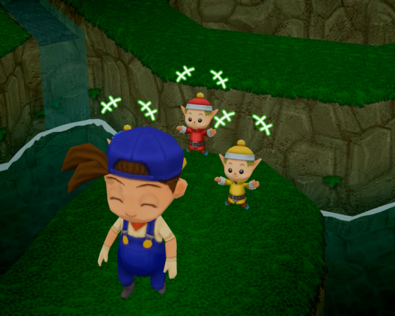 Harvest Moon: Magical Melody Screenshot 8 (Nintendo Wii (EU Version))