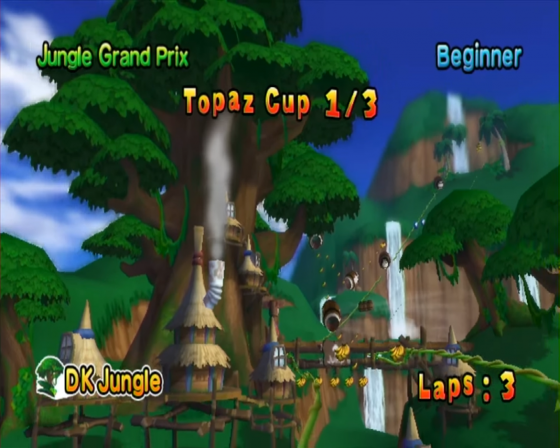 Donkey Kong: Jet Race Screenshot 10 (Nintendo Wii (EU Version))