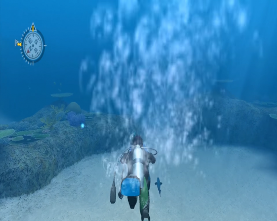 Endless Ocean Screenshot 7 (Nintendo Wii (US Version))