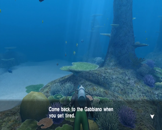 Endless Ocean Screenshot 8 (Nintendo Wii (US Version))