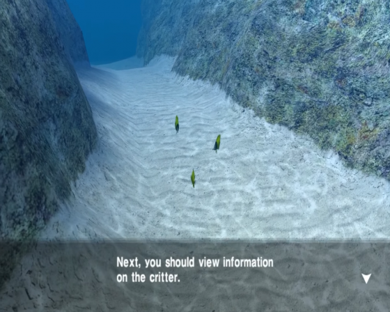 Endless Ocean Screenshot 17 (Nintendo Wii (US Version))