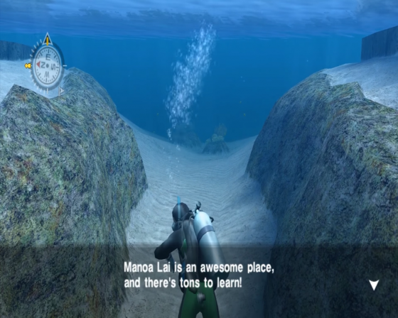 Endless Ocean Screenshot 30 (Nintendo Wii (EU Version))