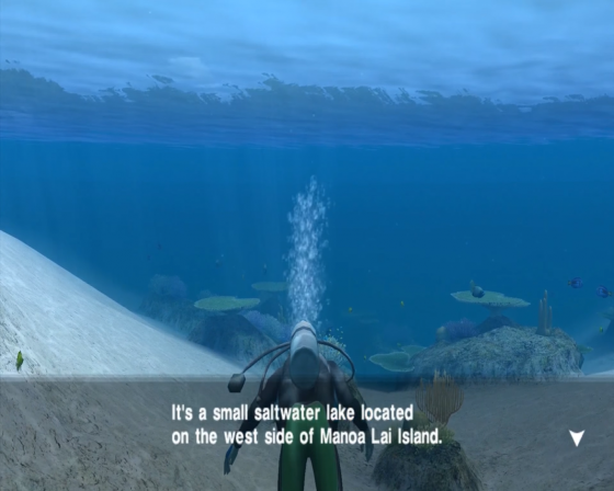 Endless Ocean Screenshot 35 (Nintendo Wii (EU Version))