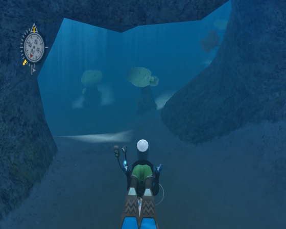 Endless Ocean Screenshot 46 (Nintendo Wii (EU Version))